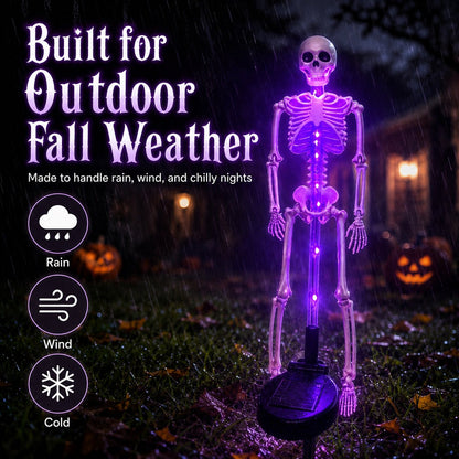 Solar Skeleton Yard