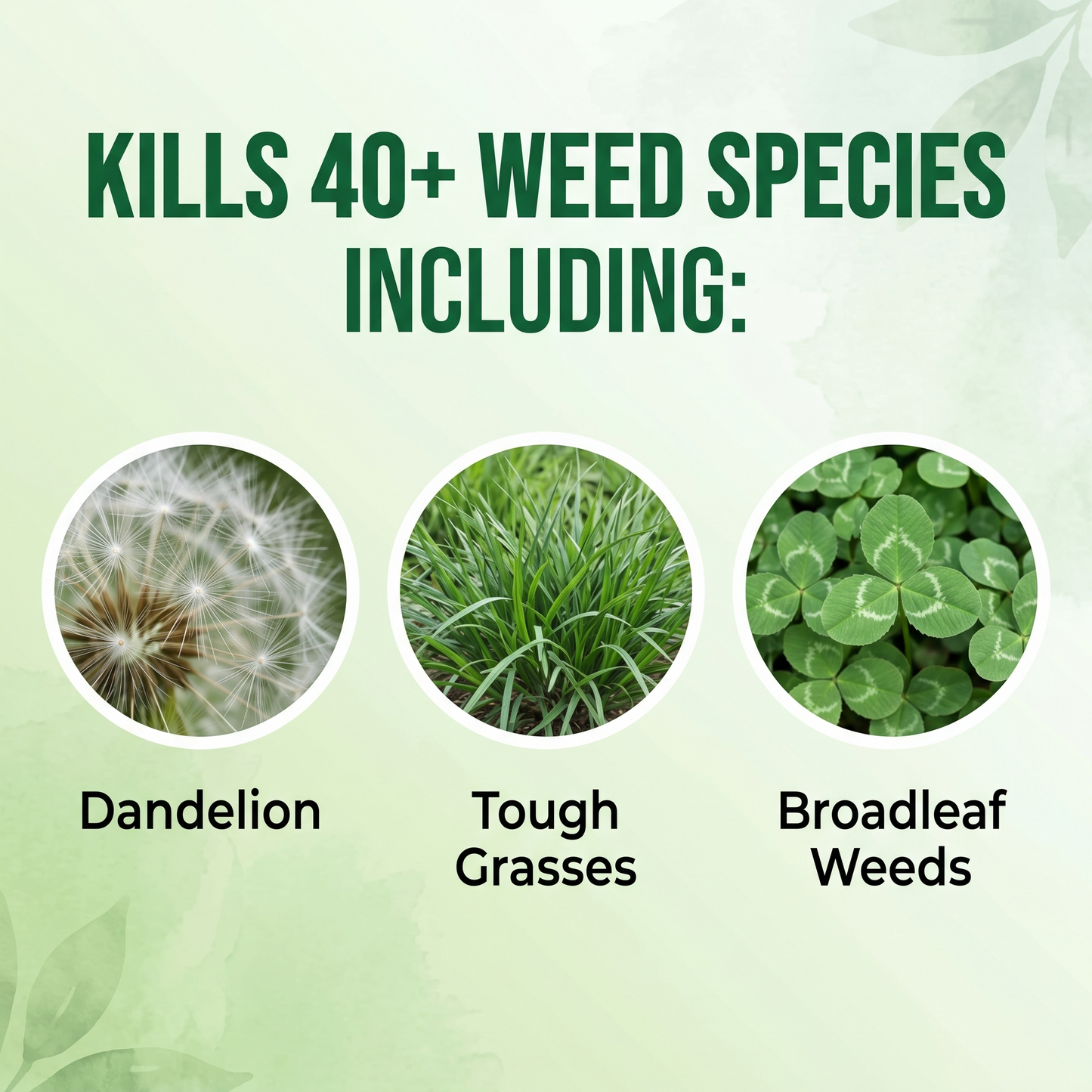 💥LAST DAY SALE 60% OFF💥Stop Tough Weeds Fast — 2-in-1 Max Strength Herbicide for Glyphosate-Resistant Growth