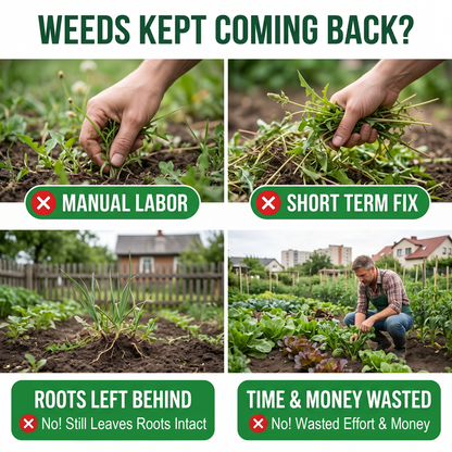 💥LAST DAY SALE 60% OFF💥Stop Tough Weeds Fast — 2-in-1 Max Strength Herbicide for Glyphosate-Resistant Growth