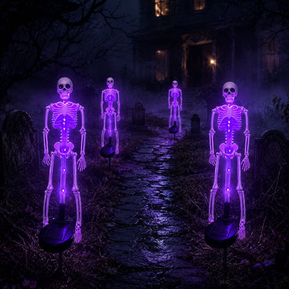 Solar Skeleton Yard