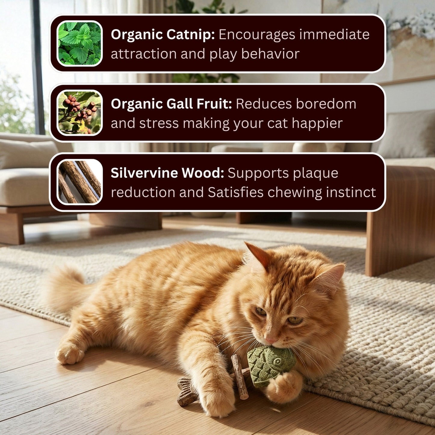 Avyroa™ Catnip & Silvervine Chew