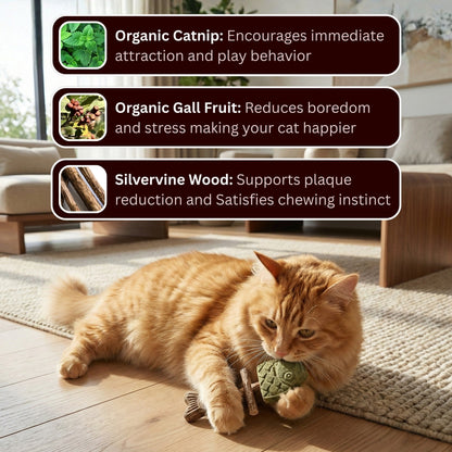 Avyroa™ Catnip & Silvervine Chew