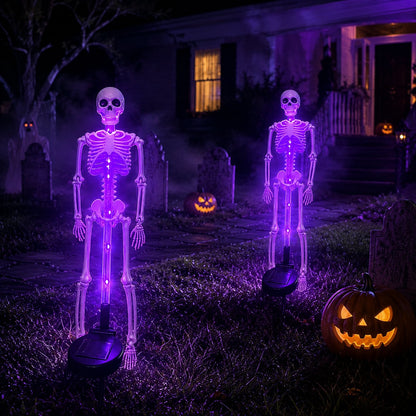Solar Skeleton Yard