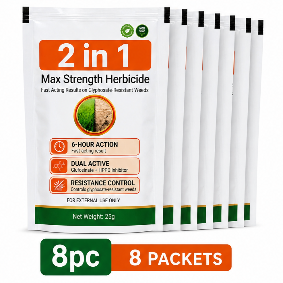 ✨Buy 5 Get 3 Free (8 Pack)