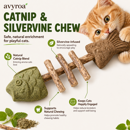 💥LAST DAY SALE 63% OFF💥 Avyroa™ Catnip & Silvervine Chew