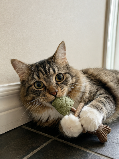 Avyroa™ Catnip & Silvervine Chew