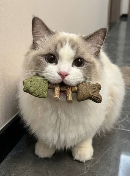 Avyroa™ Catnip & Silvervine Chew